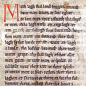 Text of the Codex Holmiensis C 37 manuscript. Codex Holmiensis CE 1350.jpg