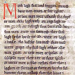 Codex Holmiensis CE 1350.jpg
