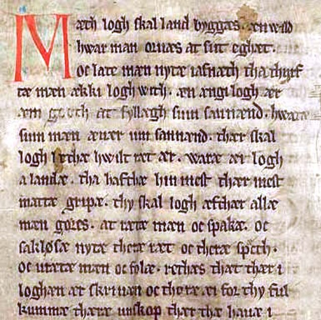 The first page of the Jutlandic Law originally from 1241 in Codex Holmiensis, copied in 1350. The first sentence is: "Mæth logh skal land byggas" Mode