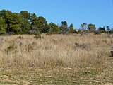 ]] (Vallès Occidental, Baix Llobregat, Barcelonès) (Sant Cugat del Vallès, Barcelona, Cerdanyola del Vallès i altres). This is a a photo of a natural area in Catalonia, Spain, with id: ES510066 Object location 41° 26′ 24″ N, 2° 06′ 36″ E  View all coordinates using: OpenStreetMap