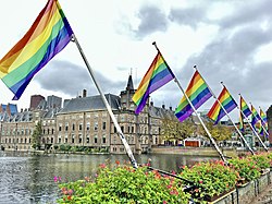 Coming-Out Day 2020 in The Hague - Rainbow flags at Hofvijver next to the national parlement of the Netherlands - img 01.jpg