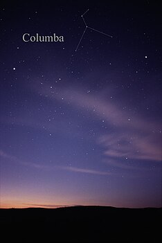 Constellation Columba.jpg