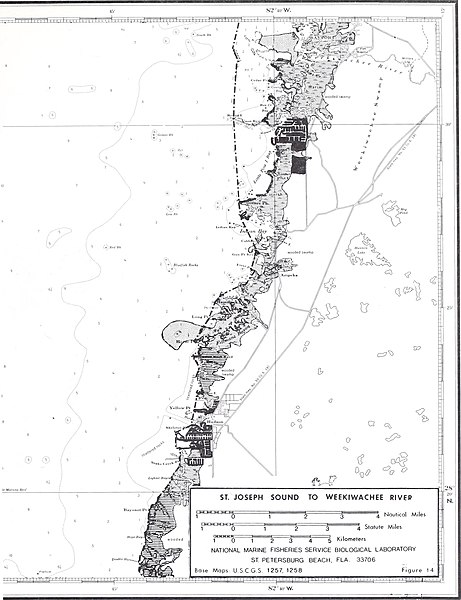 File:Cooperative Gulf of Mexico estuarine inventory and study, Florida - J. Kneeland McNulty, William N. Lindall, Jr., and James E. Sykes (1972) (20510289470).jpg