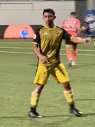 <span class="mw-page-title-main">Hanif Farhan Azman</span> Bruneian footballer