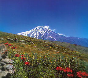 Damavand Arad.jpg