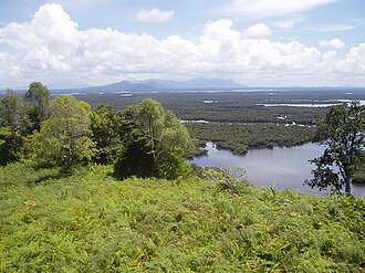 Wetland habitat types in Borneo Danau Sentarum 2006.jpg