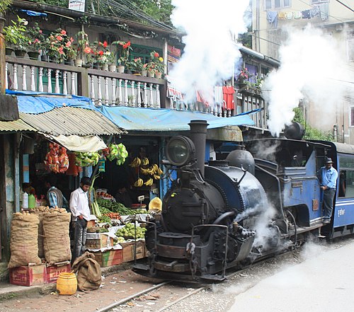 Darjeeling Himalayan Railway things to do in Sevoke