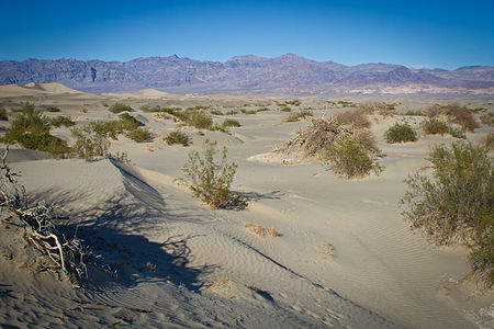 Death Valley Sand Dunes — Mesquite Flats 6914322889 o.jpg