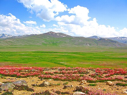 Scenic view of Deosai Plateau