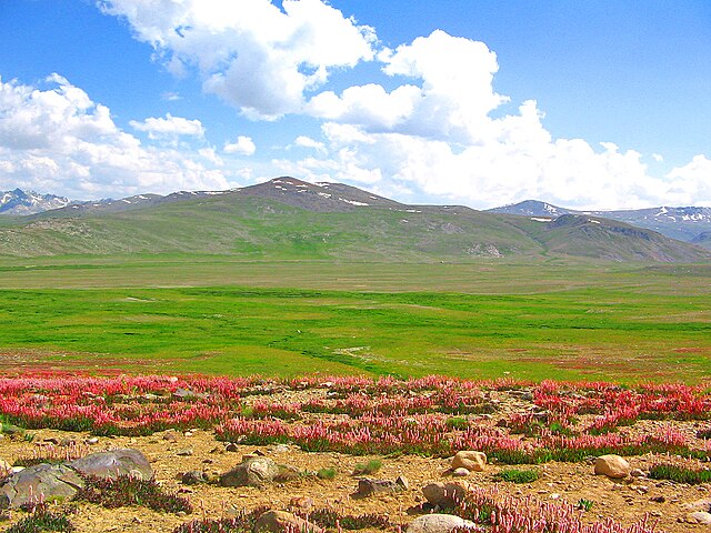 File:Deosai_Plateau_2.jpg