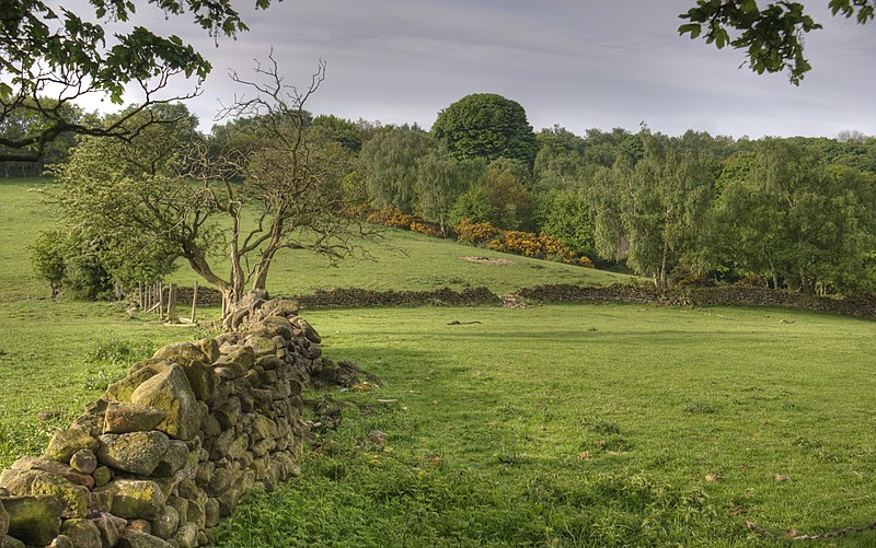 800px-Derbyshire_Landscape.jpg