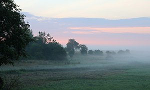 Meadow at dawn near Desenka railway halt. Ukraine, Vinnytsia Oblast, Vinnytsia Raion. Image is also a Featured picture of fog