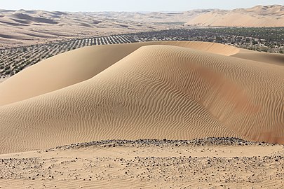 Oaza Liva u pustinji Rub el Hali