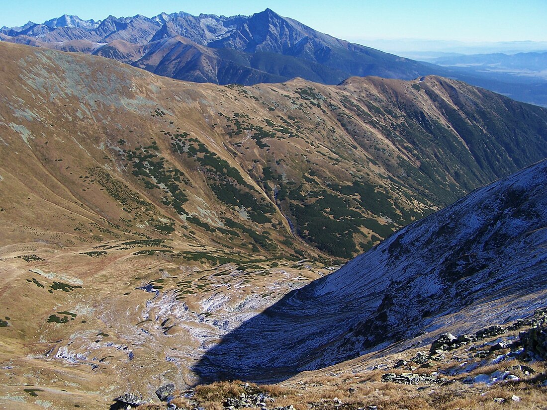 Kamenistá dolina (Západní Tatry)