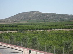 Skyline of Algorfa
