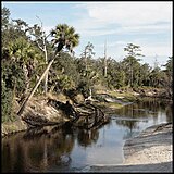 Econo River 09.jpg