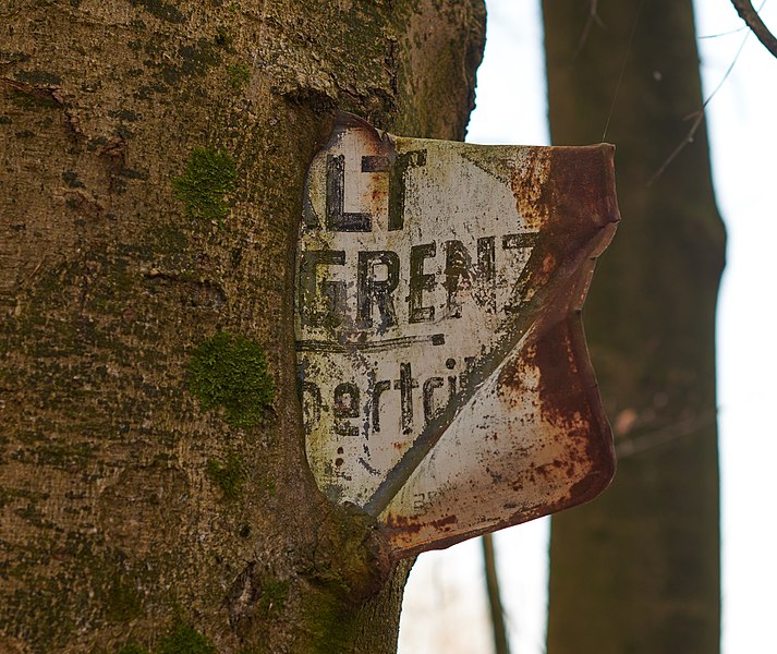 File:Eiserne Hand - Verwachsenes Schild.jpg