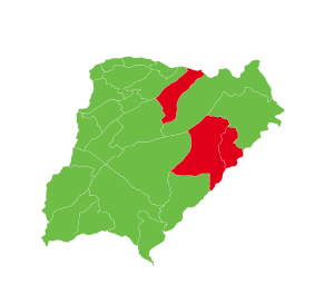 Elecciones provinciales de Corrientes de 2009