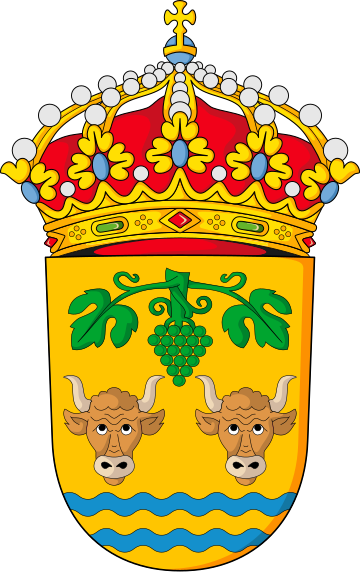 File:Escudo de Punxín.svg