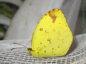 Popis tohoto obrázku, také komentován níže