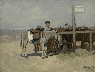 Âne sur la plage de Scheveningen