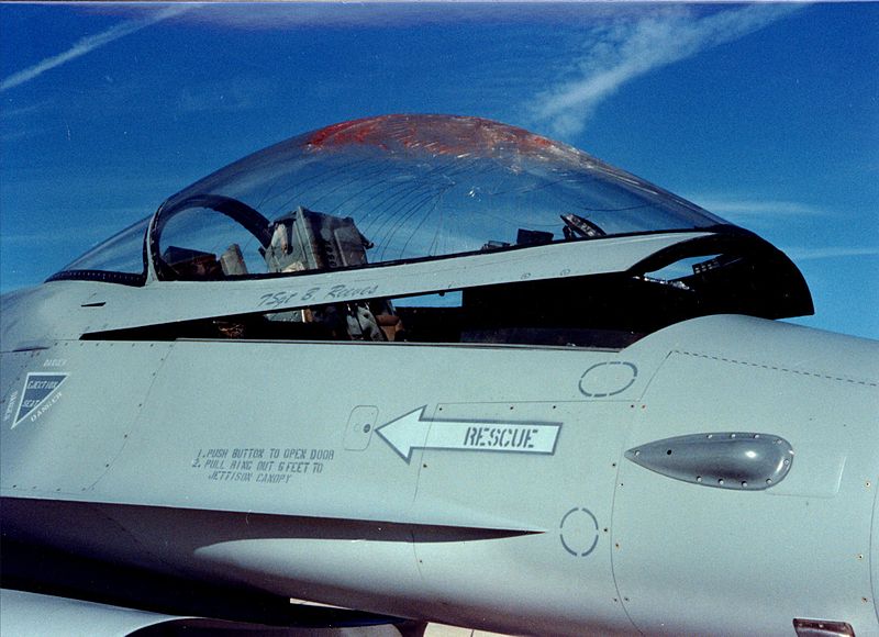 File:F16 after bird strike.jpg