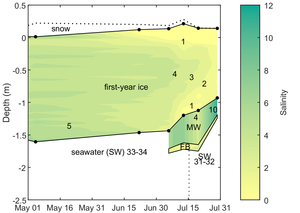 Temporal evolution of false bottom thickness and salinity during MOSAiC expedition False bottom salinity.png