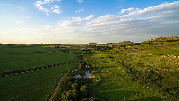 The undulating hills that form part of the rural areas in the province just north of Johannesburg. Although Gauteng is a heavily urbanised province, m