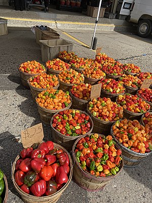 Farmers' Market