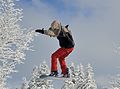 * Nomination Jumping snowboarder at Feldberg, Germany --Taxiarchos228 21:40, 18 January 2015 (UTC) * Promotion The person is sharp. The blur of the trees is not distracting. --Ram-Man 03:39, 19 January 2015 (UTC)