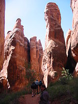 Fiery Furnace