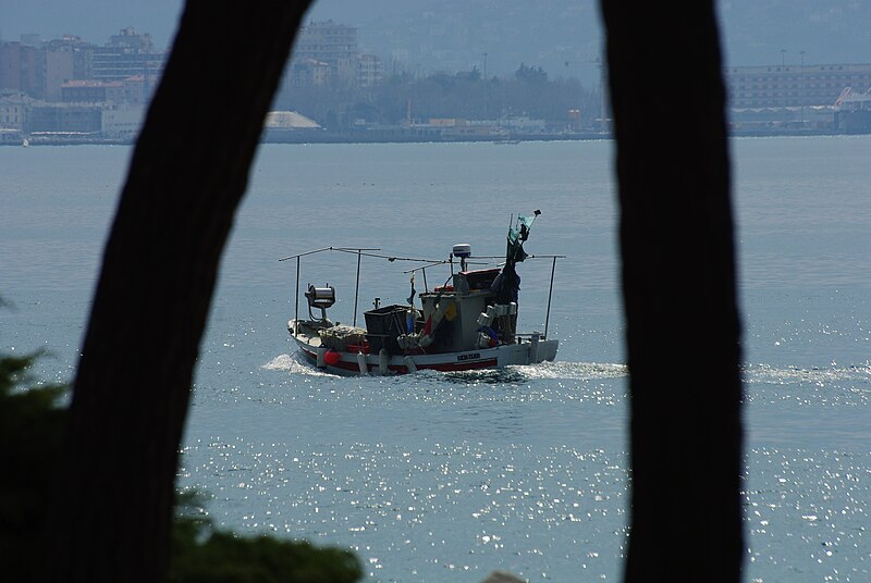 File:Fishing boat at Barcola.JPG