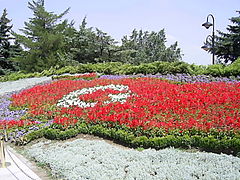 Image 3Flag of Turkey, from flowers