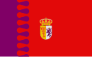 Vlag van Cañaveral de León