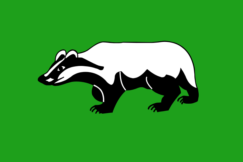 File:Flag of Shenkursky rayon.svg