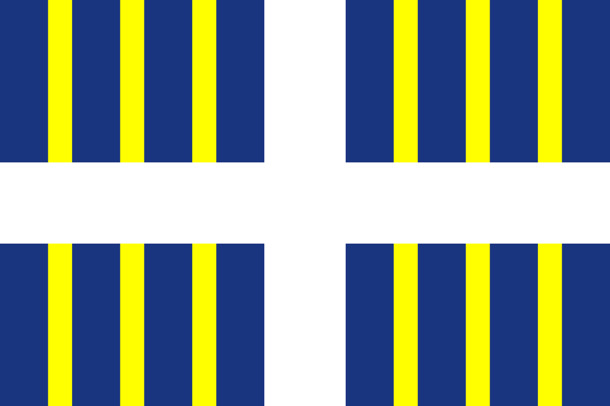 Flag формат