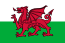 Flag of Wales (1959).svg