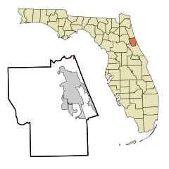 Flagler County Florida Incorporated and Unincorporated area Marineland Highlighted.svg