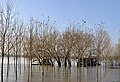 Miniatura da versão das 17h06min de 19 de abril de 2024