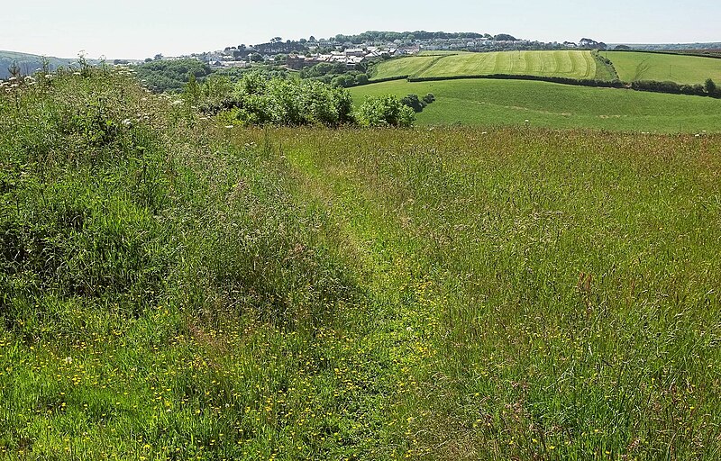 File:Footpath to Batson - geograph.org.uk - 4992867.jpg