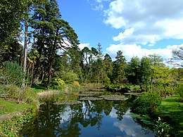 Fota Gardens and Arboretum - geograph.org.uk - 768149.jpg