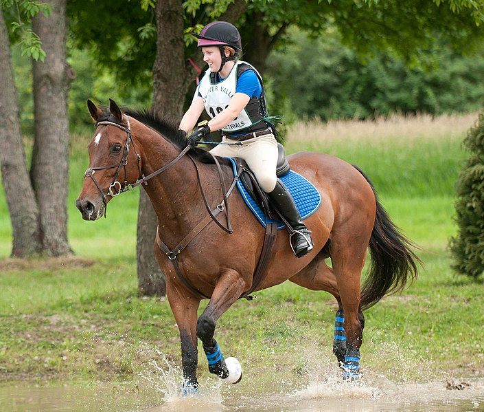 File:Fox Valley Pony Club Horse Trials 2011 - 5918468393.jpg