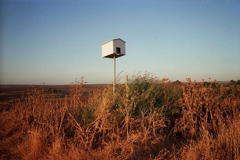 File:Gal On Owl House.jpg