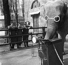 Alfonso Gatto con Oreste Del Buono e Vittorio Sereni a Milano, fotografia di Federico Patellani, 1951