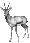 Gazelle (PSF).gif