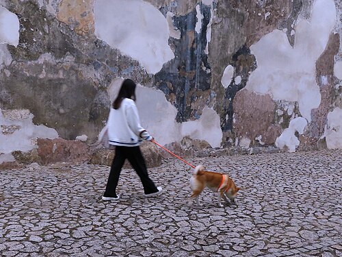 girl walking the dog at Fortaleza do Monte