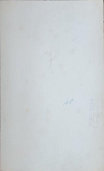 File:Gloeden, Wilhelm von (1856-1931) - n. 0040 - verso - bloomsbury.jpg