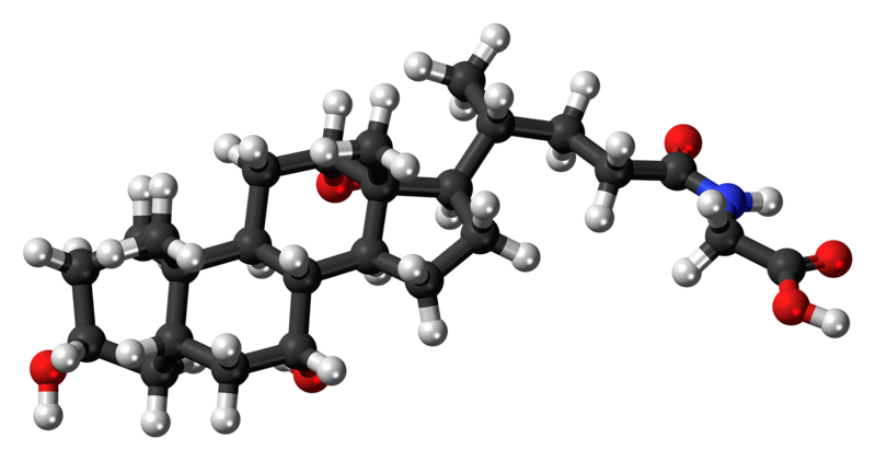 File:Glycocholic acid molecule ball.png