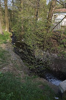 Goldbach (Münzbach) river of Saxony, Germany