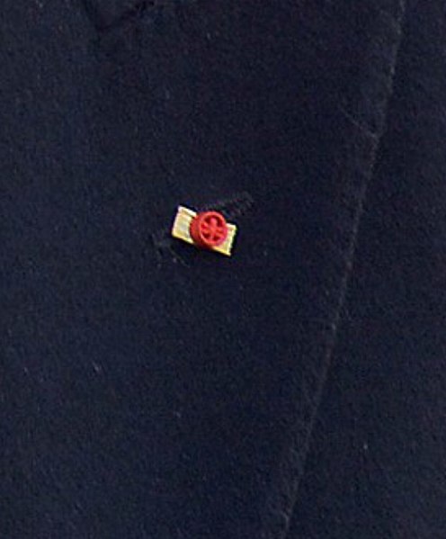 File:Grand--croix--légion--d'honneur--boutonnière.jpg